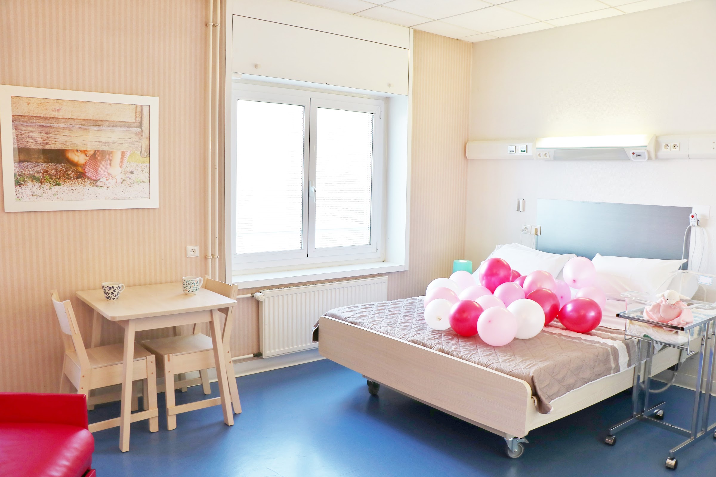 Photo de la maternité Groupe Hospit. Mutualiste de Grenoble